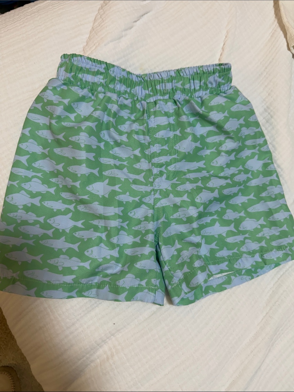 Kids Fish-Print Elastic Waist Shorts - Light Green